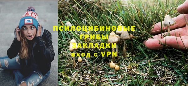 мяу мяу кристалл Алексин